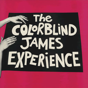 The Colorblind James Experience