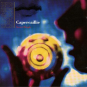 Black Fields by Capercaillie