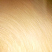 Dreaming of a Better World