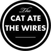 The Cat Ate The Wires