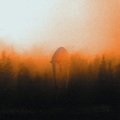 Dødhelighaz grafwlijka mund ok dess vaggande avgrundsbruus