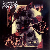 Nothing Will Be Forgiven