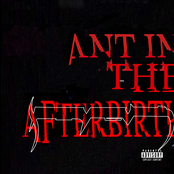 Ant In The Afterbirth (feat. Loathe) - Single