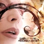 Necessary Evil by Deborah Harry