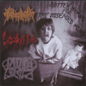 Rotten Hymns For The Diseased Mind