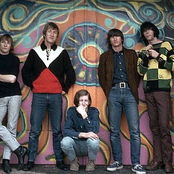 buffalo springfield