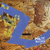 Up The Punks by Polite Sleeper