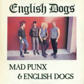 Mad Punx and English Dogs