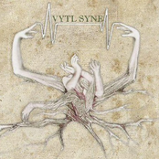 First Synes of Life
