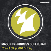 Perfect (Exceeder) - Single