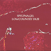 Lowcountry Dub