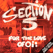 Section 5 by Section 5
