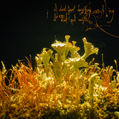 i don't feel anything