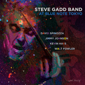 Steve Gadd Band: At Blue Note Tokyo (Live)