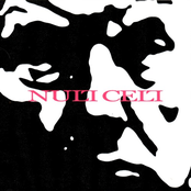 They Lie to Us (Redux mix feat. SPANKTHENUN)