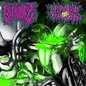 Menstrual Moonshine / Berkowitz