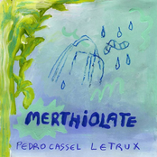 Merthiolate