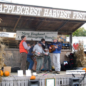 the new england bluegrass band