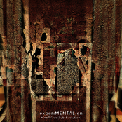 Nine Triads (Sub-Evolution)