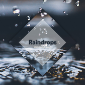 Raindrops: Calming Rain
