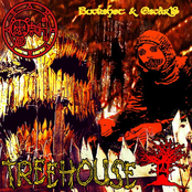 Buckshot: Treehouse