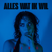 Alles Wat Ik Wil