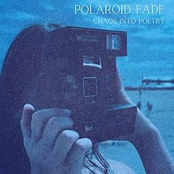 Polaroid Fade: Chaos Into Poetry