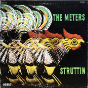 The Meters: Struttin'