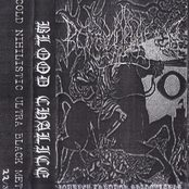 Journey Through Shadowlands