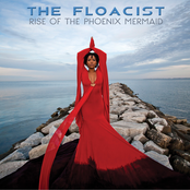 Broken Heart by The Floacist