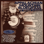 Appalachian Mountain Bluegrass - 30 Vintage Classics