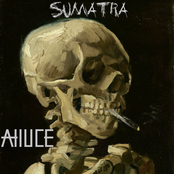 Sumatra