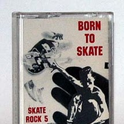 Thrasher Skate Rock Vol. 5: Born to Skate