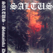 Wielki Las by Saltus
