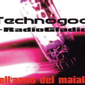 Nell'Anno Del Maiale