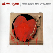 Smash Myself To Bits by Steve Wynn