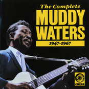 The Complete Muddy Waters 1947-1967