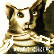 Lobo suelto - Cordero atado