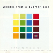 Wonder From A Quarter Acre