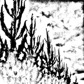 Ceux qui Voient dans la Nuit