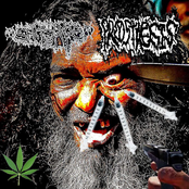 Shit Pipe Split with Prosthesis - Single