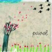 Pavel
