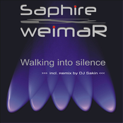 Walking into Silence