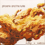Hummingbird Blues by Phoenix And The Turtle