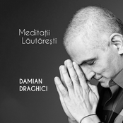 Meditatii Lautaresti
