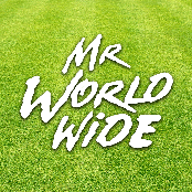 Mr Worldwide