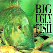 Big Ugly Fish