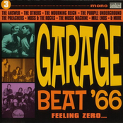 Garage Beat '66 Vol. 3: Feeling Zero...