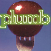 Pennyless by Plumb