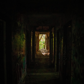 From Every Nothing - Single